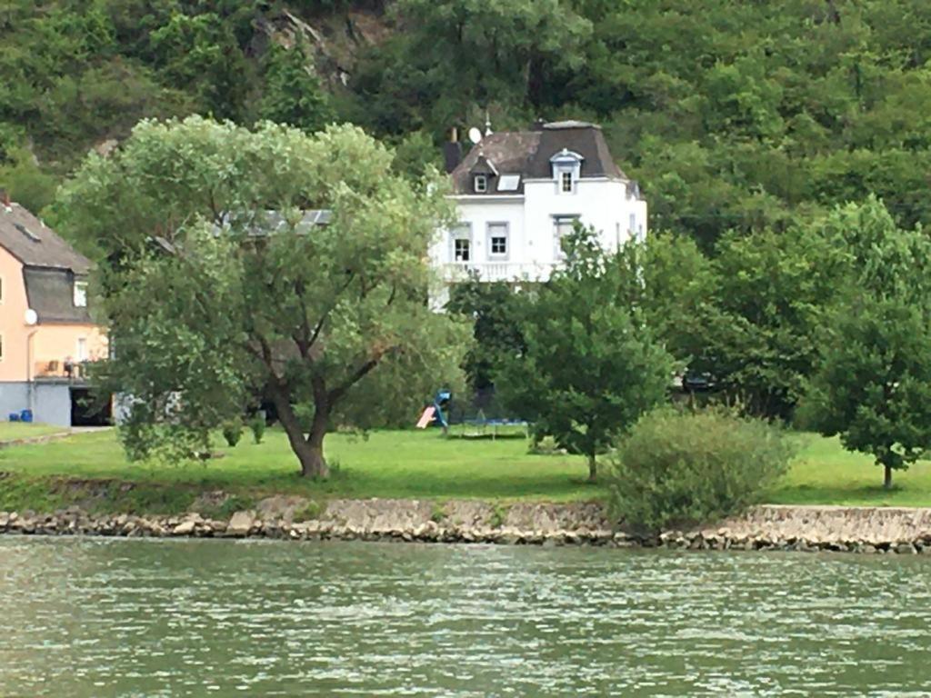Paradiesisch Wohnen - Loreley Sankt Goarshausen Eksteriør bilde