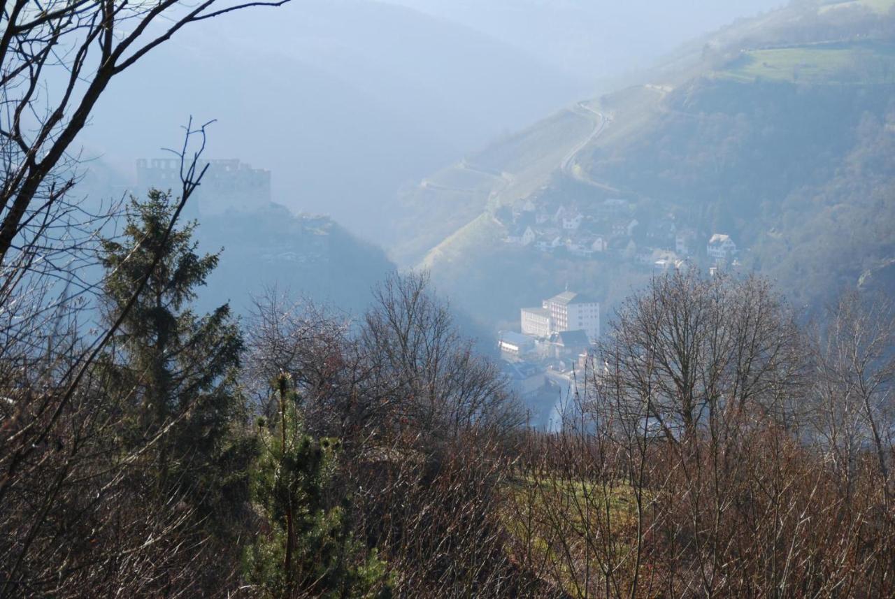 Paradiesisch Wohnen - Loreley Sankt Goarshausen Eksteriør bilde